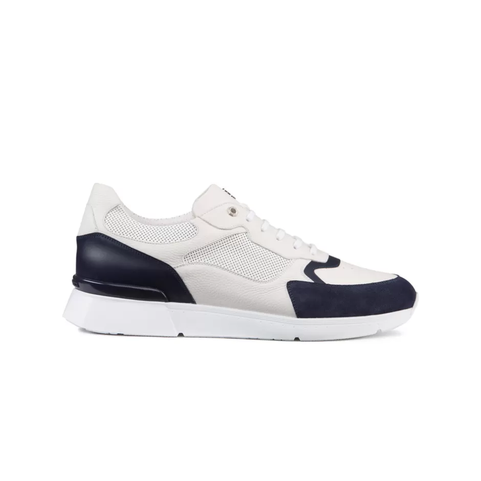 CALFSKIN AND SUEDE LEATHER SNEAKERS | Stefano Ricci Best