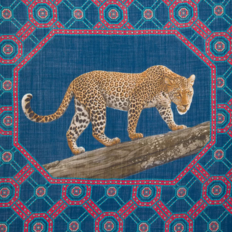 CASHMERE SCARF | Stefano Ricci Sale