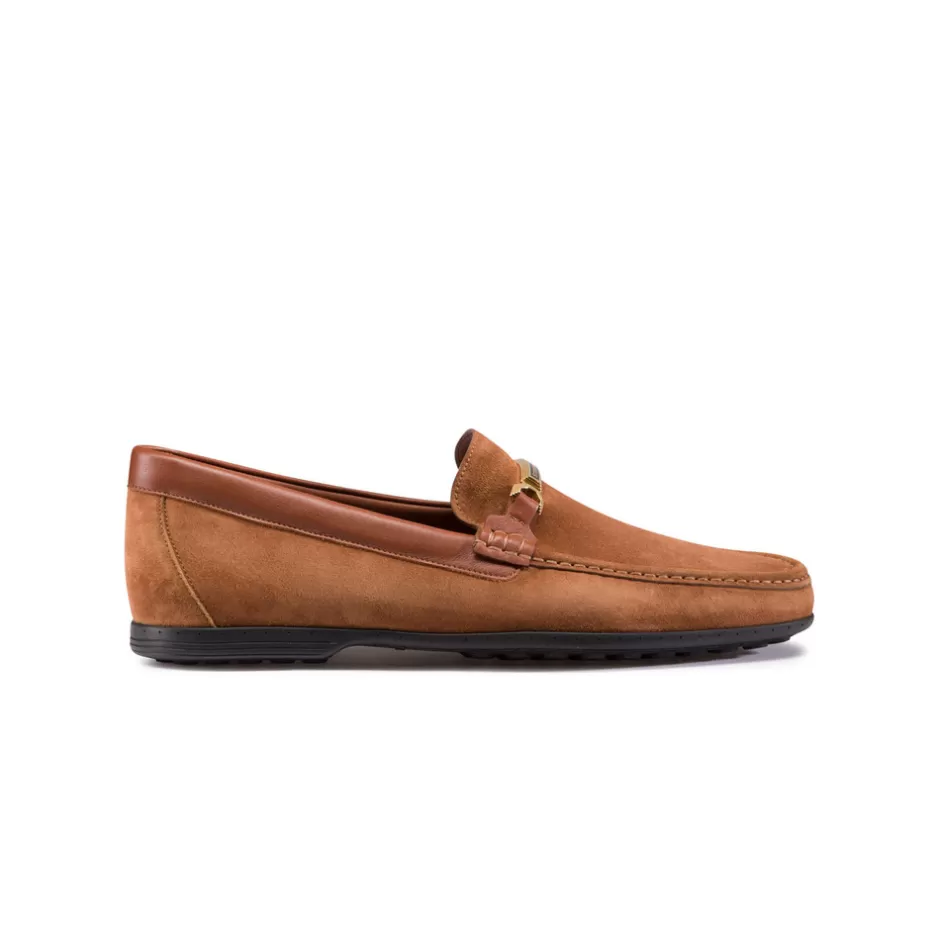SUEDE LOAFERS | Stefano Ricci New